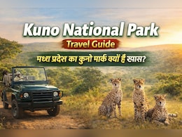 कुनो नेशनल पार्क में आए नए चीते! जानें घूमने का बेस्ट टाइम और पूरा ट्रैवल प्लान