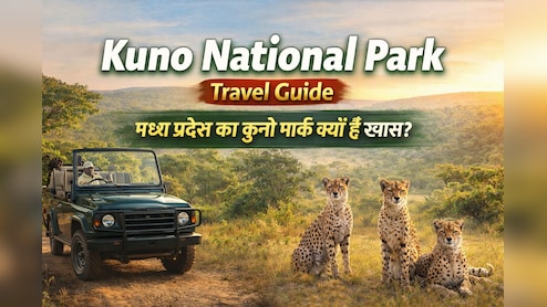 कुनो नेशनल पार्क में आए नए चीते! जानें घूमने का बेस्ट टाइम और पूरा ट्रैवल प्लान