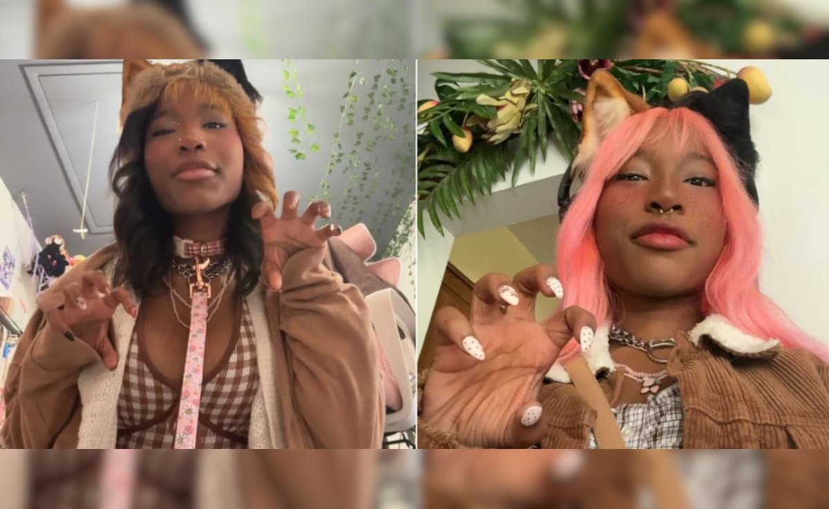 Latest and Breaking News on NDTV Latest and Breaking News on NDTV