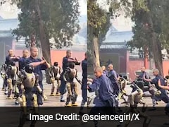 Watch: Robots Join Monks For Kung Fu Practice At China's Shaolin Temple