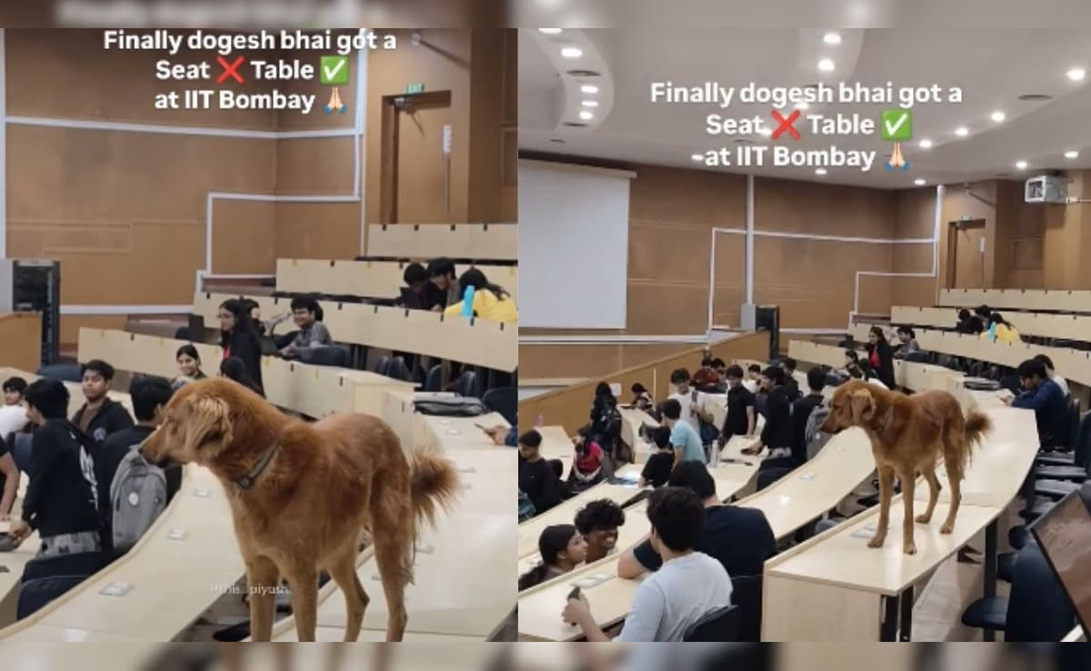 IIT Bombay के लेक्चर हॉल में 'डोगेश भाई' का जलावा, स्टूडेंट्स रह गए हैरान, Video Viral