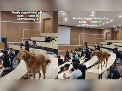 IIT Bombay के लेक्चर हॉल में 'डोगेश भाई' का जलावा, स्टूडेंट्स रह गए हैरान, Video Viral