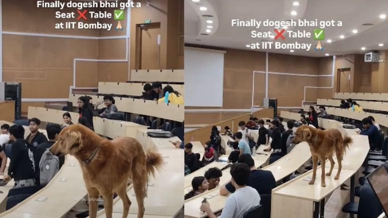 IIT Bombay के लेक्चर हॉल में 'डोगेश भाई' का जलावा, स्टूडेंट्स रह गए हैरान, Video Viral