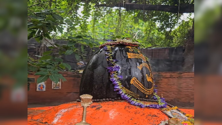 महाशिवरात्रि पर कृतिवासेश्वर महादेव का होता है अद्भुत शृंगार, यहां बहुत कम भक्&zwj;तों को मिलता है दर्शन का सौभाग्य