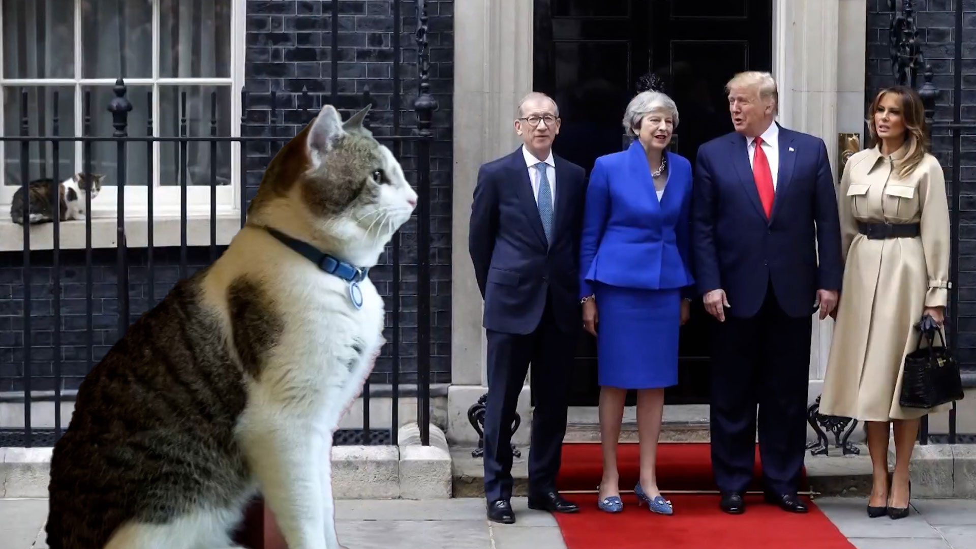Six Prime Ministers Later, Larry The Cat Still Rules Downing Street