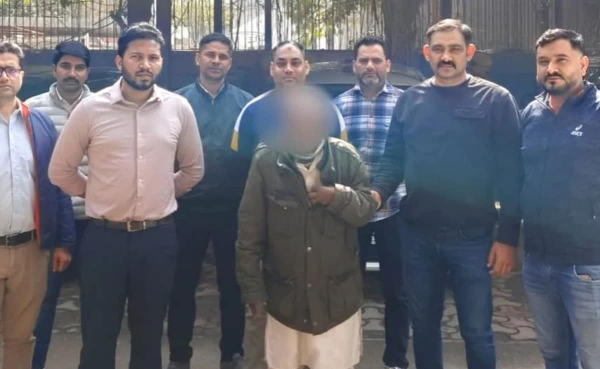 The Art of Baking: From Classic Bread to Artisan Pastries