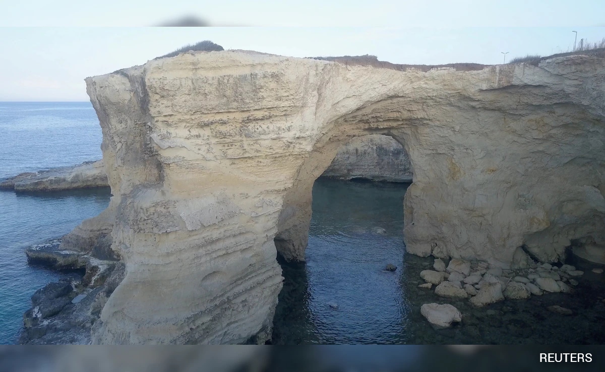 The Art of Baking: From Classic Bread to Artisan Pastries