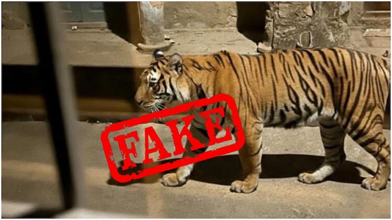 Fact Check: क्या अलवर के दिल्ली दरवाजा इलाके में घुस आया बाघ? जानें इस वायरल वीडियो का सच