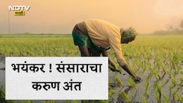 Buldhana News: बँकेच्या एक लाखासाठी मोडला संसार! बुलडाण्यात शेतकरी पती-पत्नीने उचलले टोकाचे पाऊल