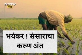 Buldhana News: बँकेच्या एक लाखासाठी मोडला संसार! बुलडाण्यात शेतकरी पती-पत्नीने उचलले टोकाचे पाऊल