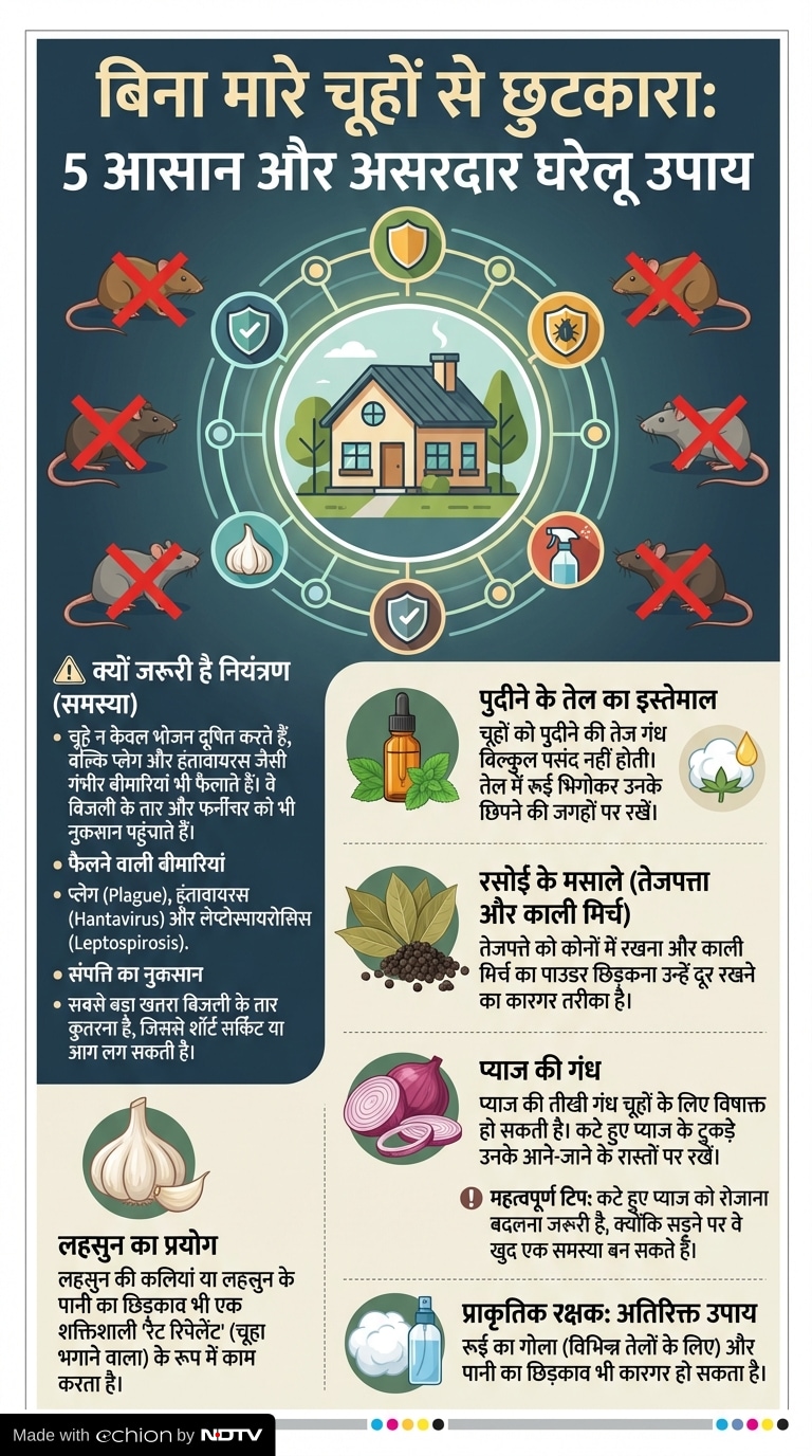 Latest and Breaking News on NDTV