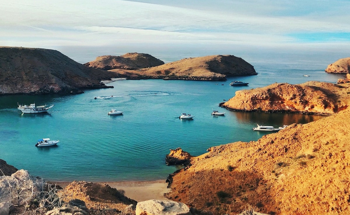 Latest and Breaking News on NDTV