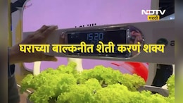 ना खताचे टेन्शन,ना पाणी घालण्याची कसरत!, AI च्या मदतीने घरातच पिकवा शेती, जाणून घ्या भन्नाट तंत्रज्ञान