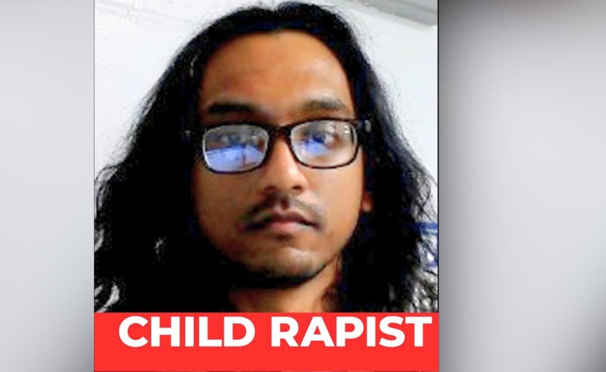 The Art of Baking: From Classic Bread to Artisan Pastries