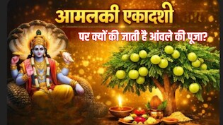 Amalaki Ekadashi 2026: आमलकी एकादशी पर क्यों की जाती है आंवले के पेड़ की पूजा? यहां पढ़ें कथा