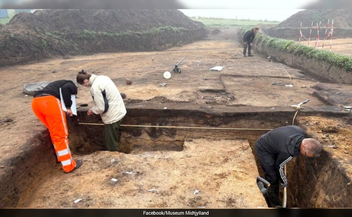 The Art of Baking: From Classic Bread to Artisan Pastries