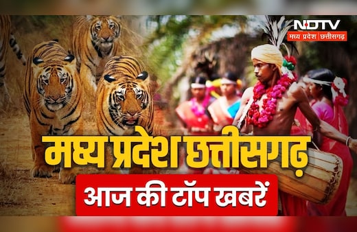 MP Chhattisgarh News Live: रायगढ़ के जंगलों से आया मनमोहक दृश्य, हाथियों का परिवार घूमता नजर आया; Drone कैमरे ने किया कैद