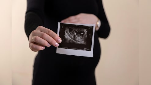 Gaudium IVF IPO Opens Feb. 20: Check Price Band, GMP And Other Details