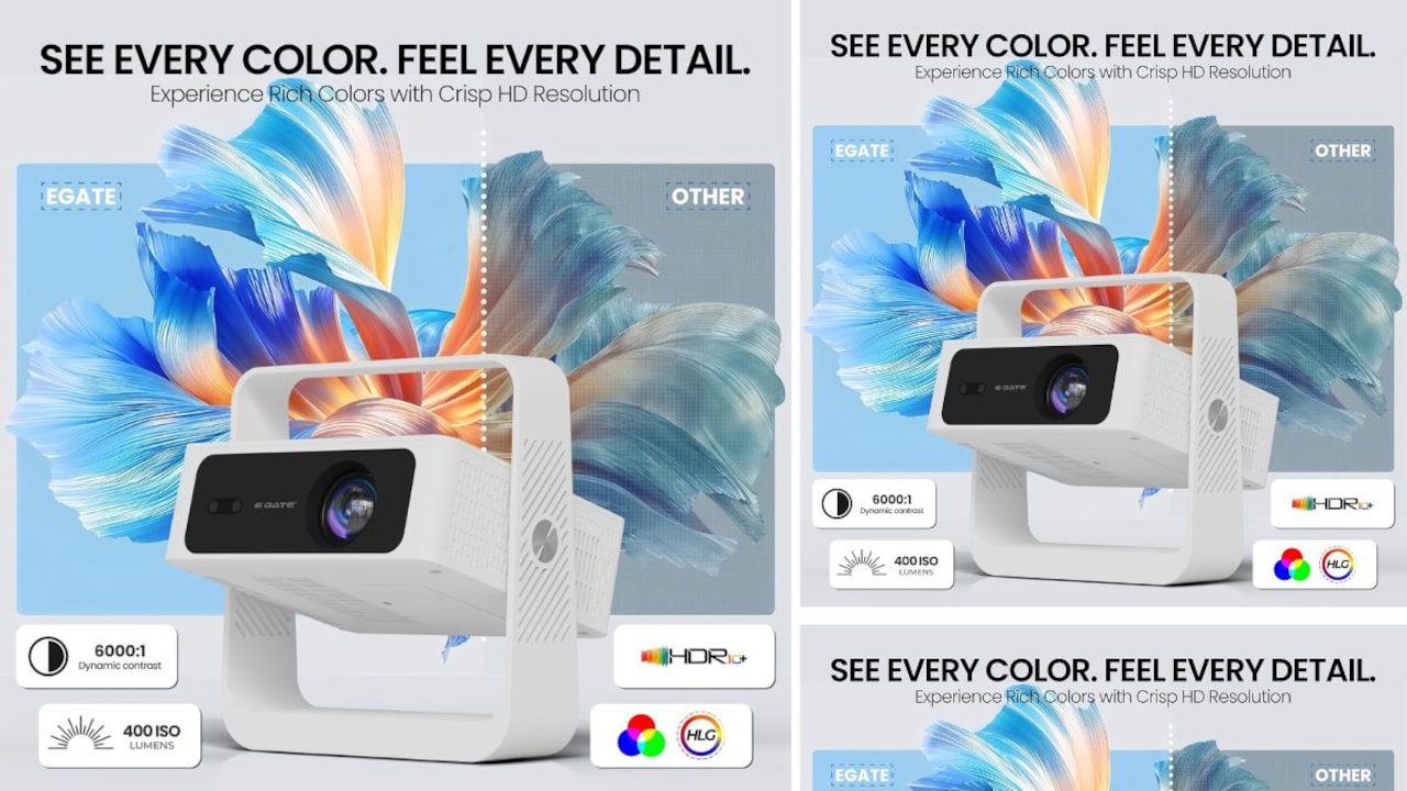 Experience the thrill of 