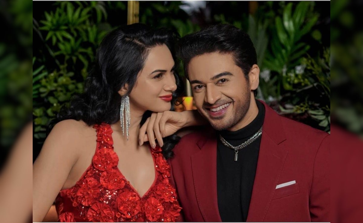 गौरव खन्ना की बीवी इंटीमेट सीन करने पर हुईं ट्रोल, बताया पर्दे के पीछे का सच