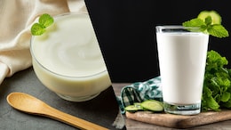 Curd Vs. Chaas: Which Is Better For Gut Issues?