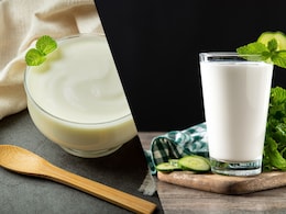 Curd Vs. Chaas: Which Is Better For Gut Issues?