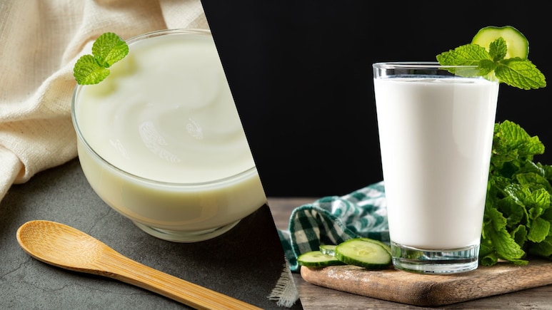 Curd Vs. Chaas: Which Is Better For Gut Issues?
