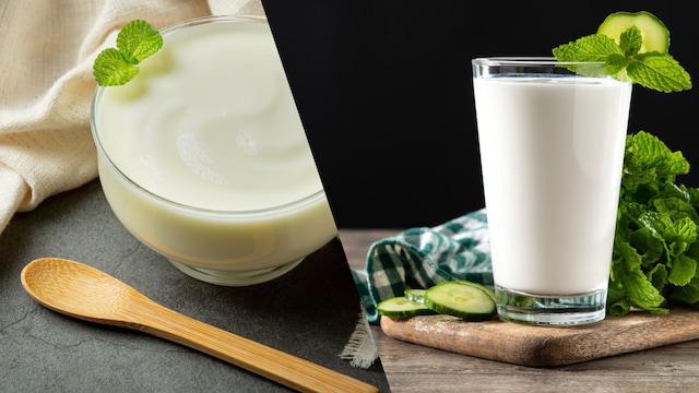 Curd and chaas are part of the Indian fermented foods that have benefits for the gut