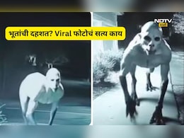 Nashik Viral: 'या' गावात भूताचा संचार? सर्वत्र भीतीचे वातावरण, भूताचे फोटो झपाट्याने Viral