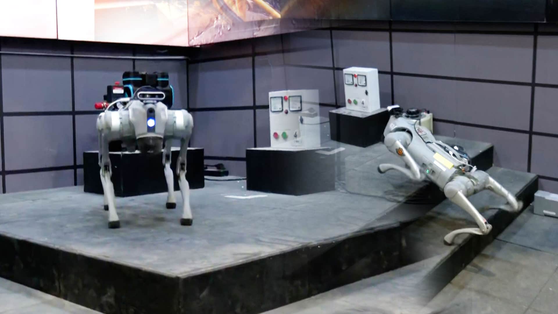 AI-Powered Robot Designed To Assist Workers In Hazardous Zones