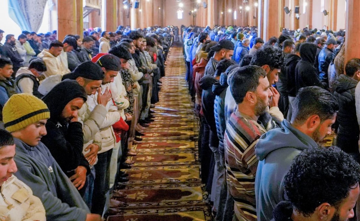 The Art of Baking: From Classic Bread to Artisan Pastries