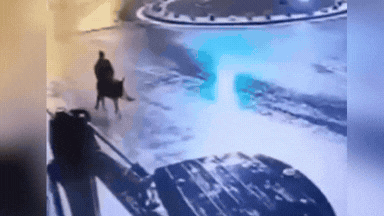 15 तोला सोना चुराया और गधे पर बैठकर भागा... शराब के चक्कर में बना दुनिया का सबसे अजूबा चोर- VIDEO