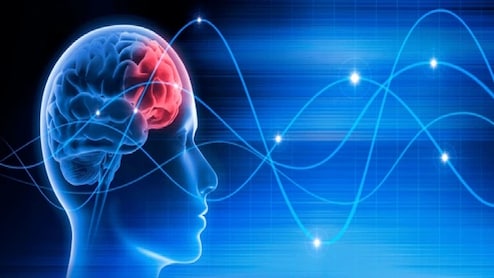 Study Shows How Even Small Movements Can Help Clear Brain Waste