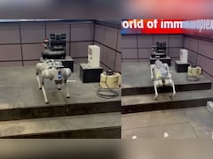 AI समिट में खूब लुभा रहा रोबोटिक डॉग, निपटा सकता है सेना के लिए निगरानी जैसे काम