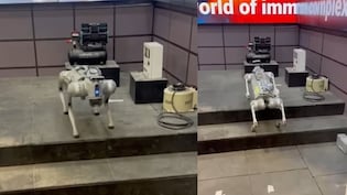 AI समिट में खूब लुभा रहा रोबोटिक डॉग, निपटा सकता है सेना के लिए निगरानी जैसे काम