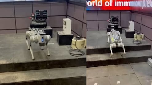 AI समिट में खूब लुभा रहा रोबोटिक डॉग, निपटा सकता है सेना के लिए निगरानी जैसे काम