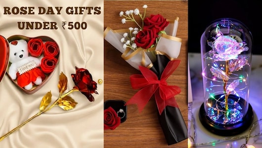 ₹500 से भी कम में Rose Day पर पार्टनर को Gift करें ये ट्रेंडी और खूबसूरत फूल, सालों तक ताजा रहेंगी यादें