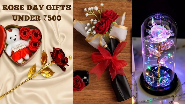 ₹500 से भी कम में Rose Day पर पार्टनर को Gift करें ये ट्रेंडी और खूबसूरत फूल, सालों तक ताजा रहेंगी यादें