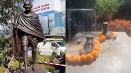 How Thieves In Australia Stole 420 Kg Gandhi Statue In Melbourne