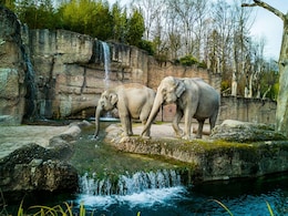 6 Places In Japan Every Animal Lover Should Visit