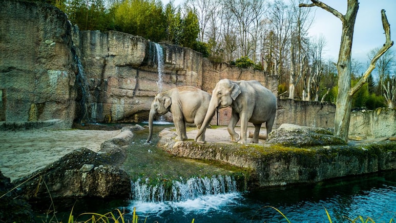 6 Places In Japan Every Animal Lover Should Visit