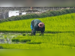 Krishak Bandhu Scheme: खेतिहर मजदूरों को इस योजना के तहत मिलेंगे 4,000 रुपये, बस ये डॉक्यूमेंट्स रखें तैयार, जानिए क्या है कृषक बंधु?