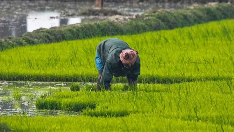 Krishak Bandhu Scheme: खेतिहर मजदूरों को इस योजना के तहत मिलेंगे 4,000 रुपये, बस ये डॉक्यूमेंट्स रखें तैयार, जानिए क्या है कृषक बंधु?