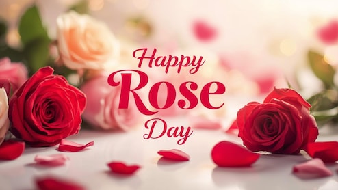 Happy Rose Day 2026: Wishes, Messages, Greetings, Status, Photos To Share With Your Loved Ones
