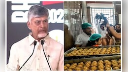 बाथरूम क्लीनर के केमिकल वाले घी से बने थे तिरुपति प्रसाद के लड्डू, आंध्र सीएम चंद्रबाबू का बड़ा दावा