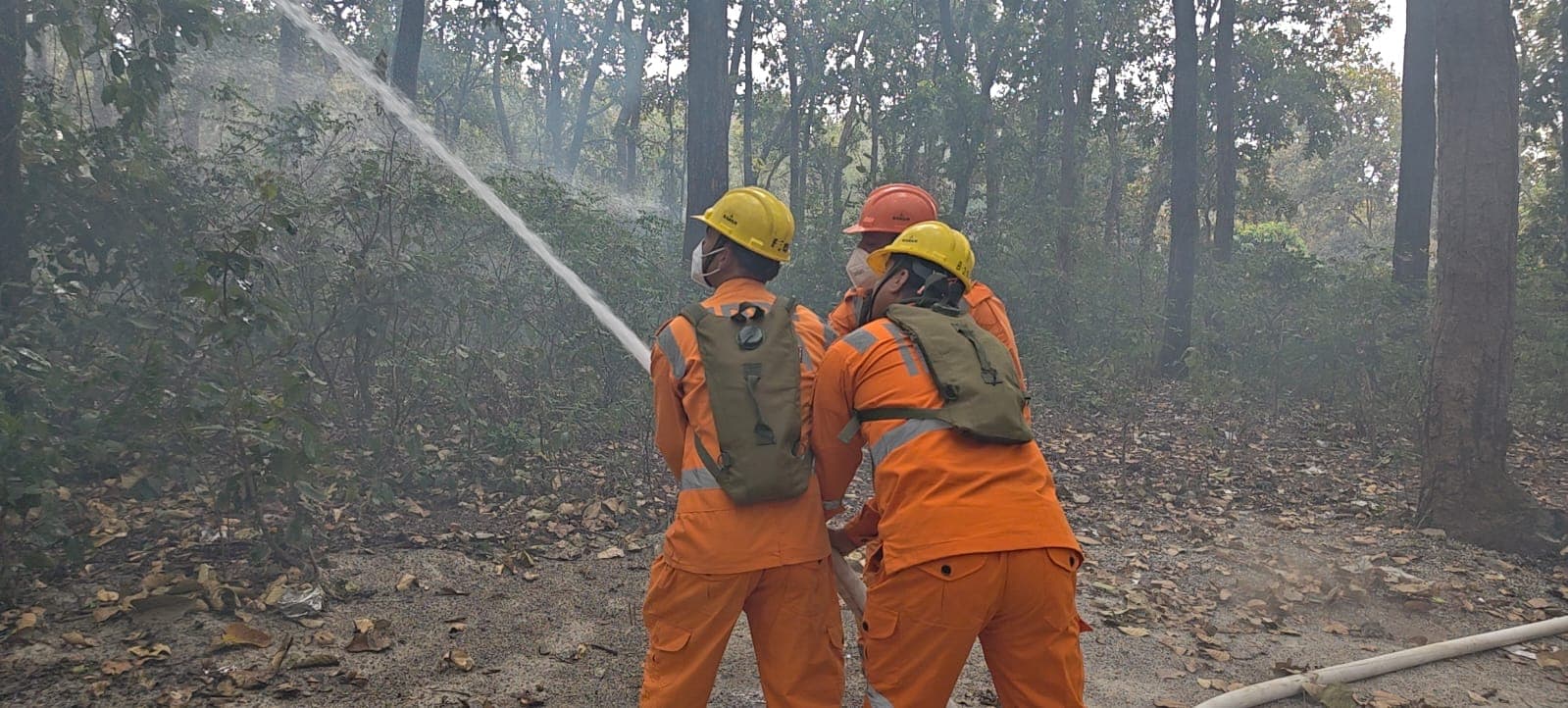 Latest and Breaking News on NDTV Latest and Breaking News on NDTV