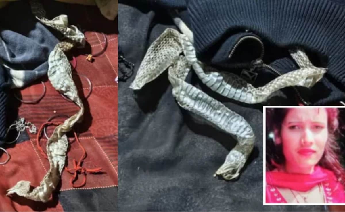 इच्छाधारी नागिन नहीं थी औराया में सांप की केंचुली छोड़कर गायब हुई लड़की, अपनी इच्छा से गई थी
