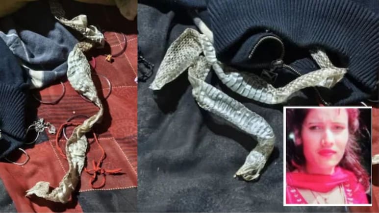 इच्छाधारी नागिन नहीं थी औराया में सांप की केंचुली छोड़कर गायब हुई लड़की, अपनी इच्छा से गई थी