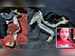 मुलगी नागिन बनून गायब झाल्याची चर्चा, बेडवर सापडली 5 फुटी कात; अखेर 'त्या' VIDEO नं उडवला पोलिसांचाही थरकाप!