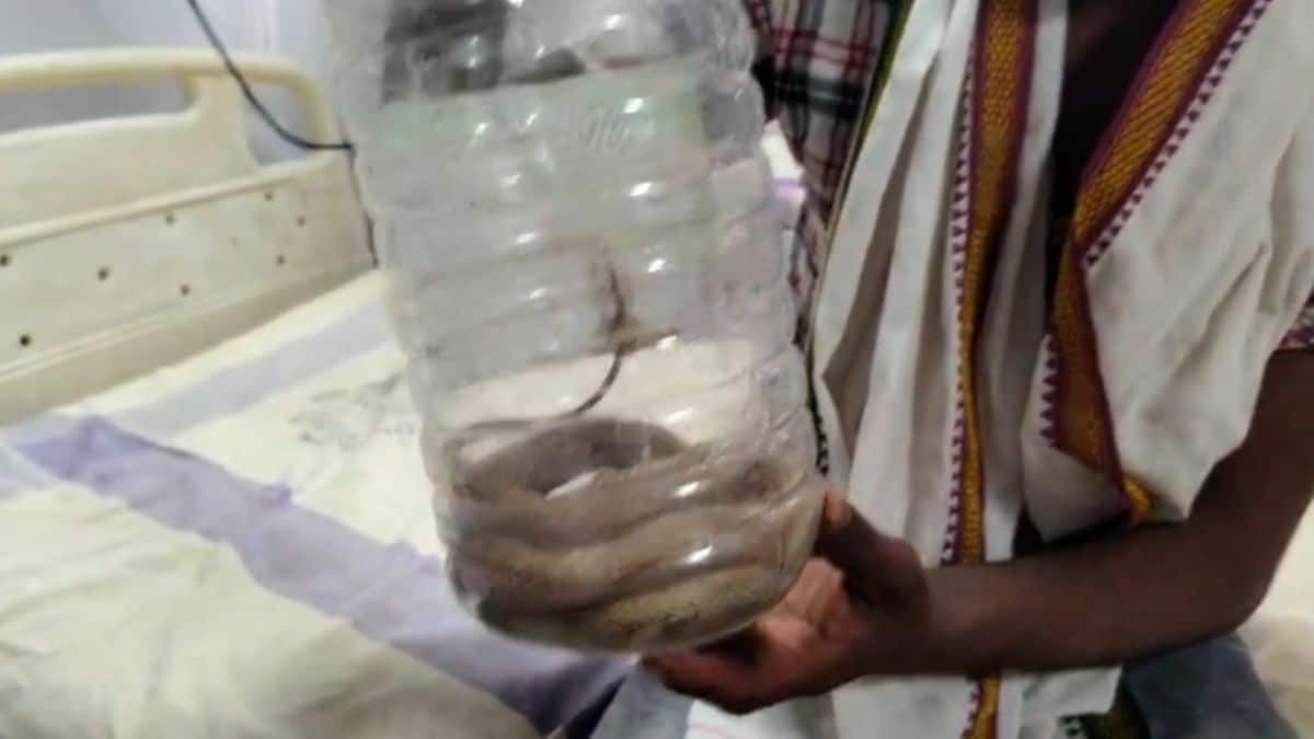 Latest and Breaking News on NDTV